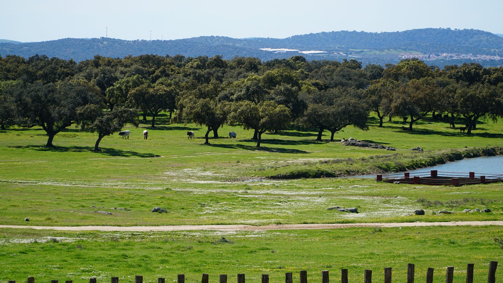 Aire libre finca Sevilla