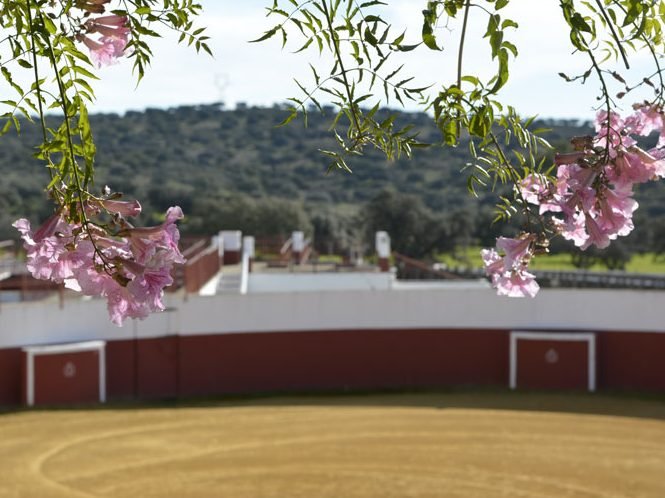 Plaza tientas Almadén Plata