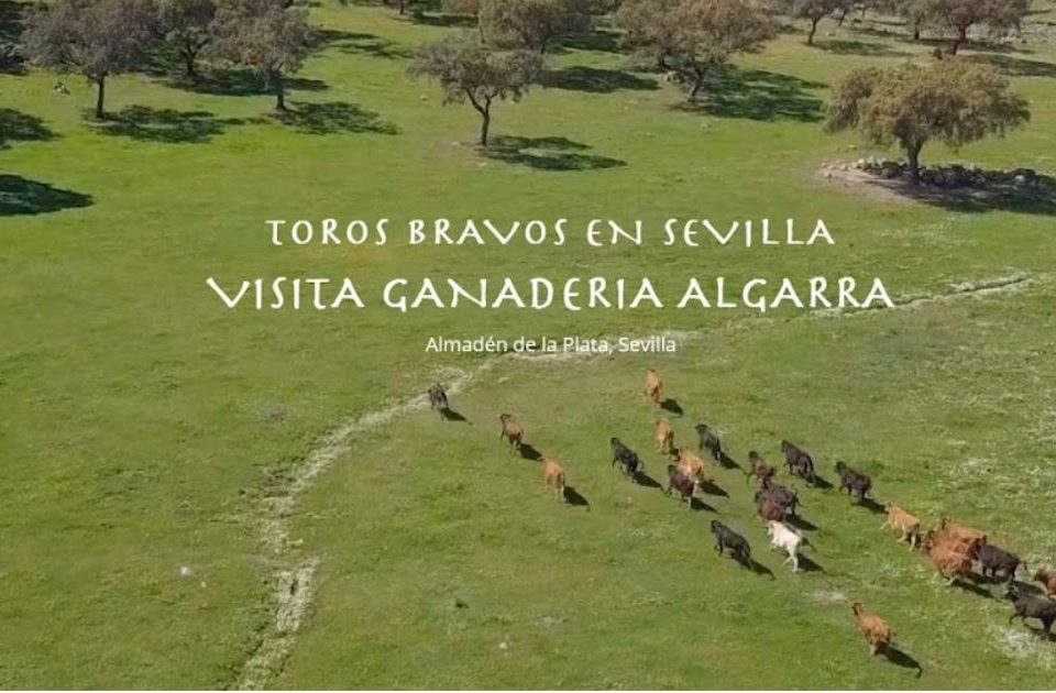 ganaderia de reses bravas
