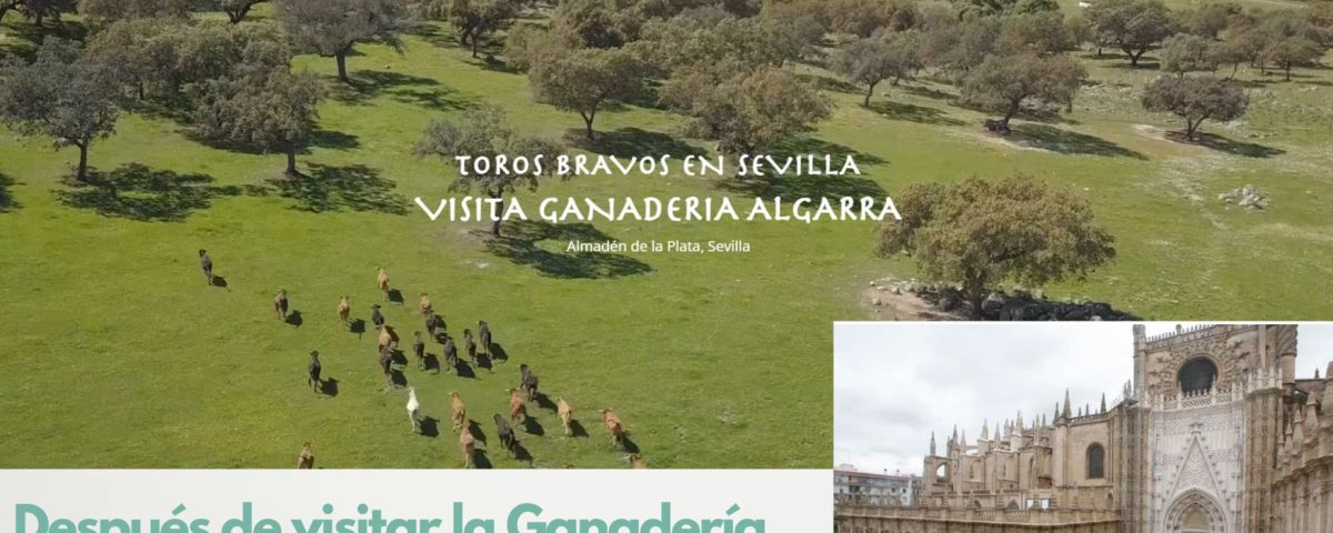 que ver en sevilla