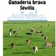 ganaderia brava sevilla