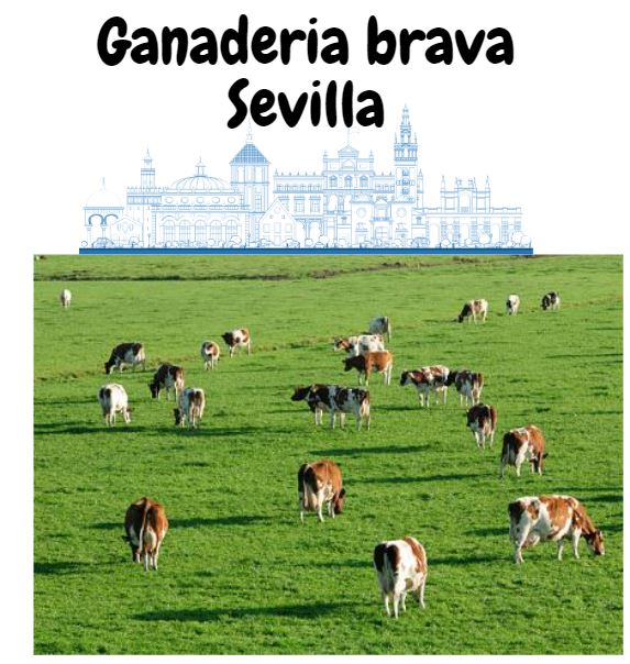ganaderia brava sevilla