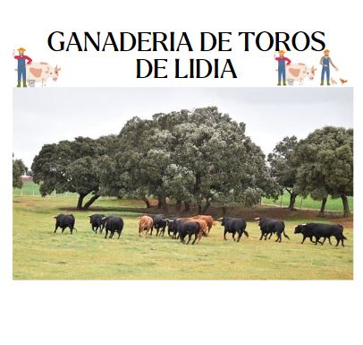 ganaderia de toros de lidia
