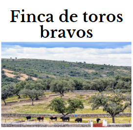 finca de toros bravos
