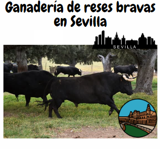 ganaderia brava Sevilla
