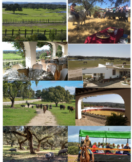 Finca La Capitana