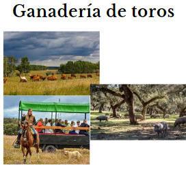 ganaderia de toros