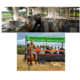 eventos empresariales originales