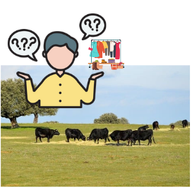 como vestir para ir a los toros