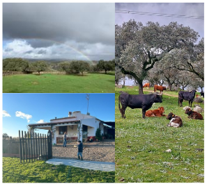 turismo rural en Sevilla