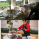 finca para eventos