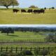 turismo rural sierra de Sevilla