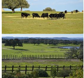 turismo rural sierra de Sevilla