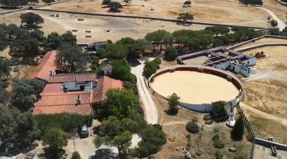 Éxito rotundo en Ondara con toros de Algarra y figuras del toreo