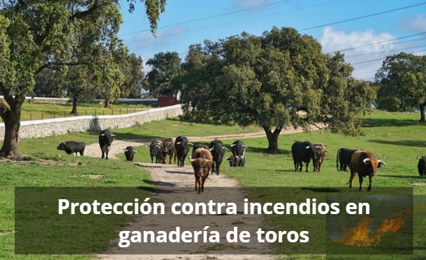 Protección contra incendios en ganadería de toros