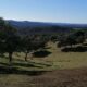 Sierra Morena y sus dehesas: joya natural cerca de Sevilla
