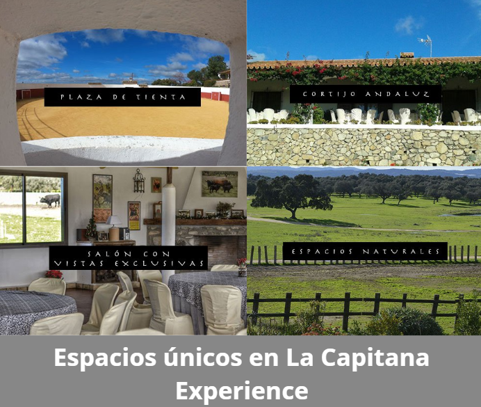 Espacios únicos en la finca La Capitana Experience