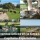 Eventos únicos en la Finca La Capitana Experience: bodas, empresas y visitas personalizadas