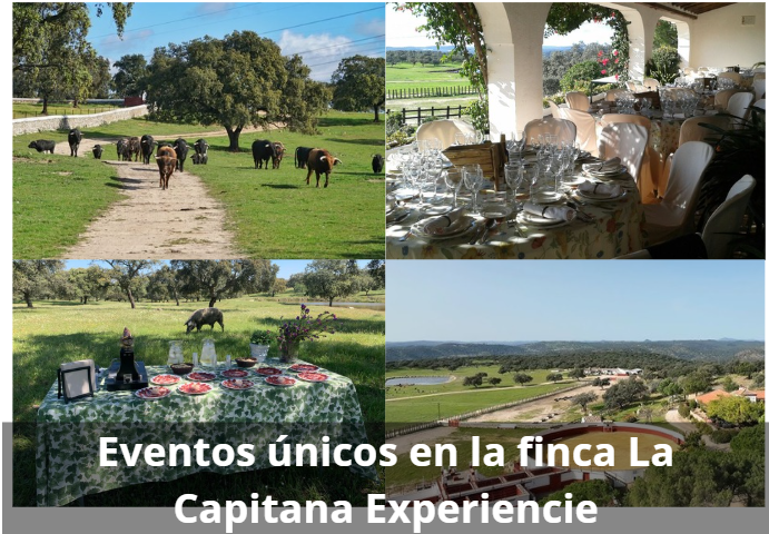 Eventos únicos en la Finca La Capitana Experience: bodas, empresas y visitas personalizadas