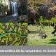 Descubre la naturaleza escondida de Sevilla: mucho más que el Guadalquivir y la Torre del Oro