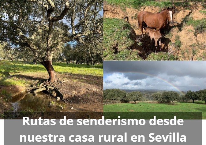 Rutas de senderismo cerca de nuestra casa rural en Sevilla