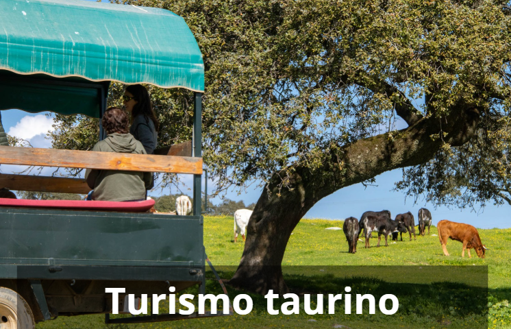 turismo taurino