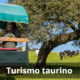 turismo taurino