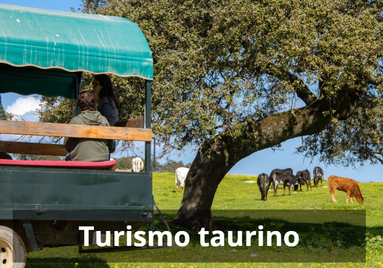 turismo taurino
